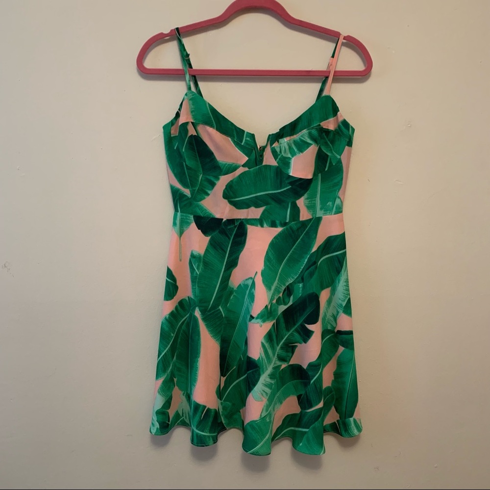 Buddy Love palm print mini dress  new with tags size Medium
